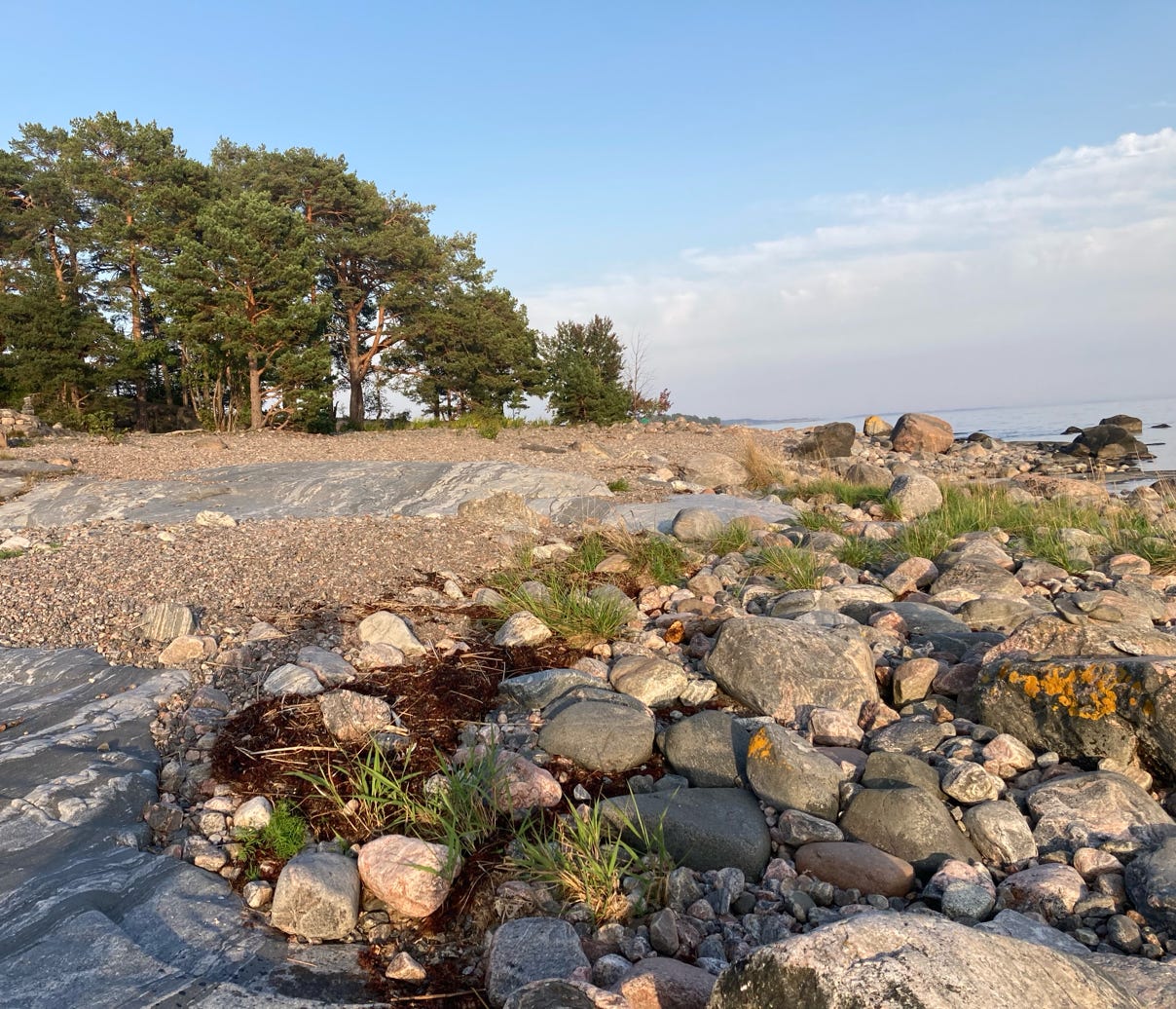 Lingolar Cover photo Sweden, online courses, language vacation, language service